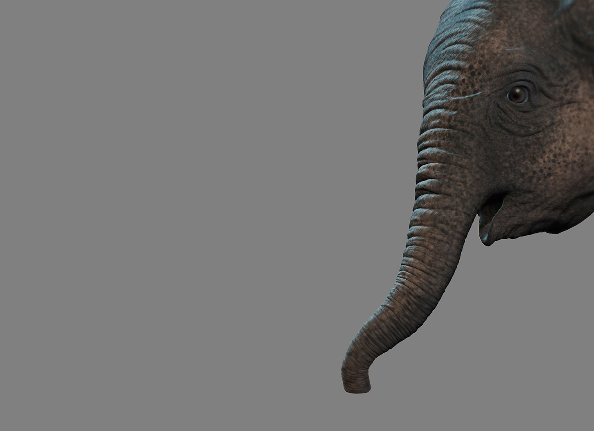 Adobe Portfolio ele elephant Baby Elephant cute elephant indian elephant Elephant in outfits Elephant cloths