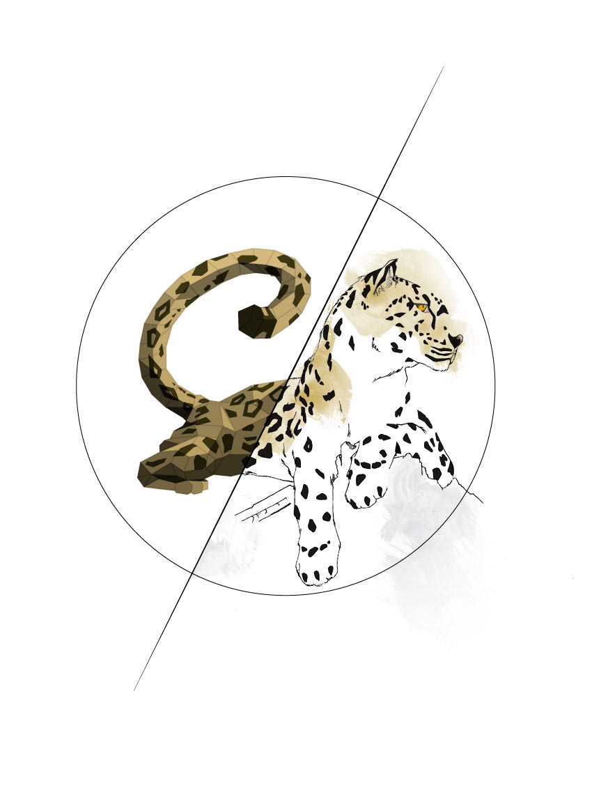 leopard créativité ILLUSTRATION  affiche graphisme