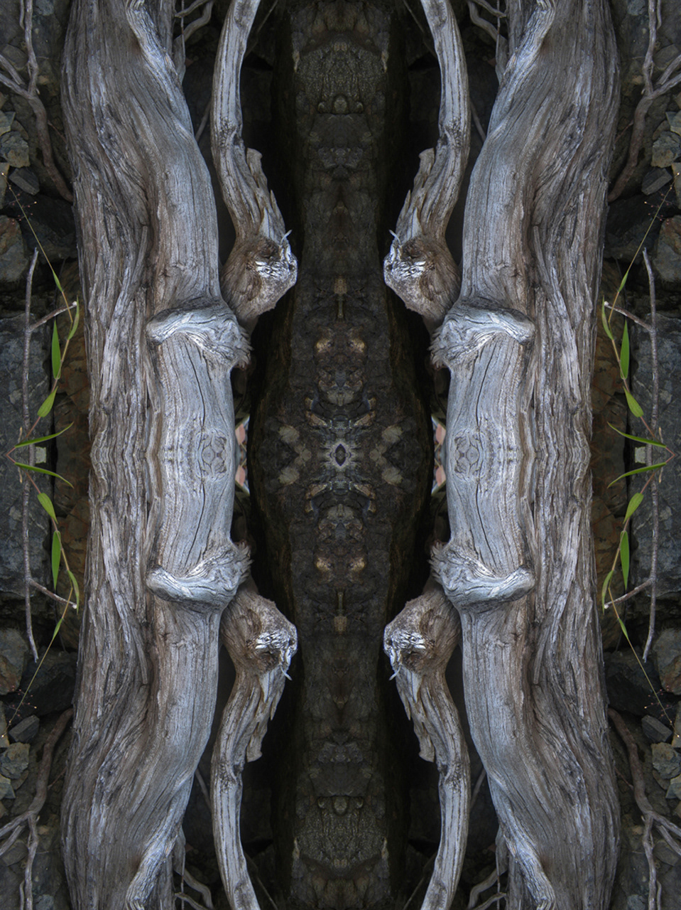 hiding beaches SUBLIMINAL IMAGES reflections driftwood stumps faces masks dark light design