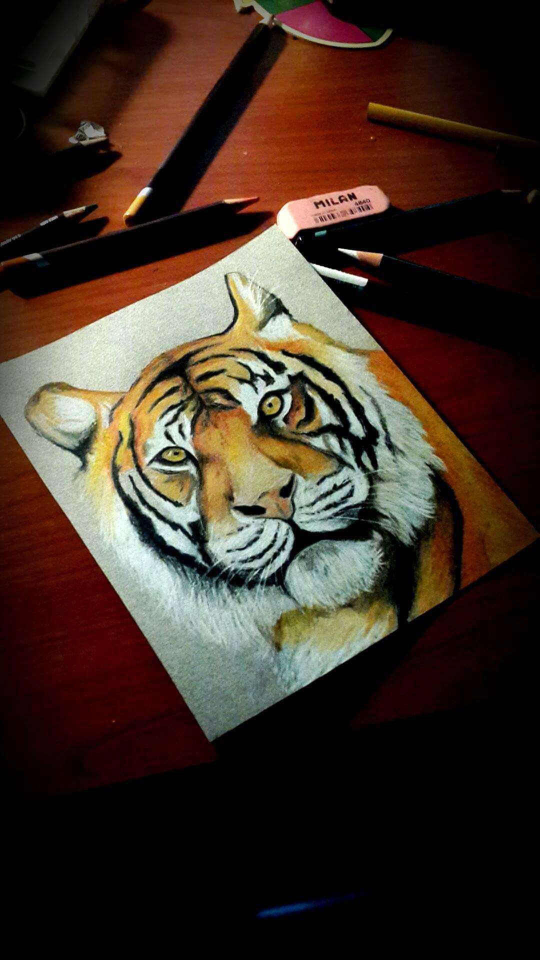 art ColorPencil Drawing  drymedia ILLUSTRATION  paper traditional