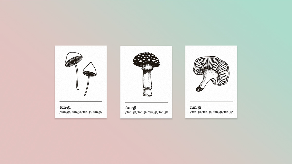 mushroom Fungi tshirt postcard definition draw