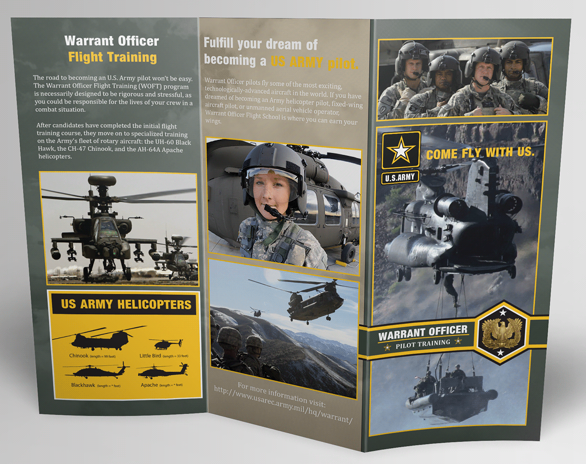 army branding  brochure Clean Design design graphic graphic design  green Military print design 