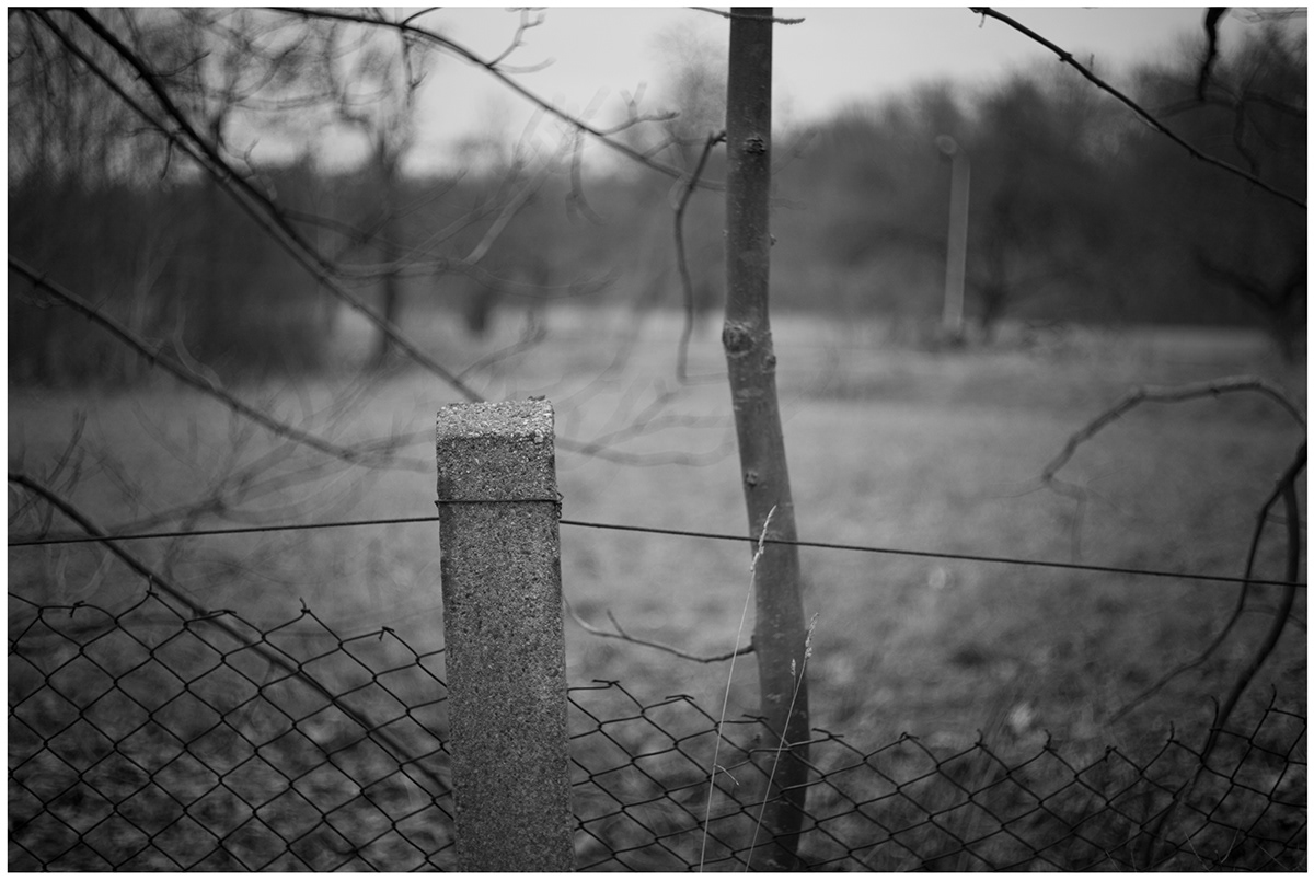 autumn Black&white drop fence Landscape leaves Nature rain subburbs tree stump