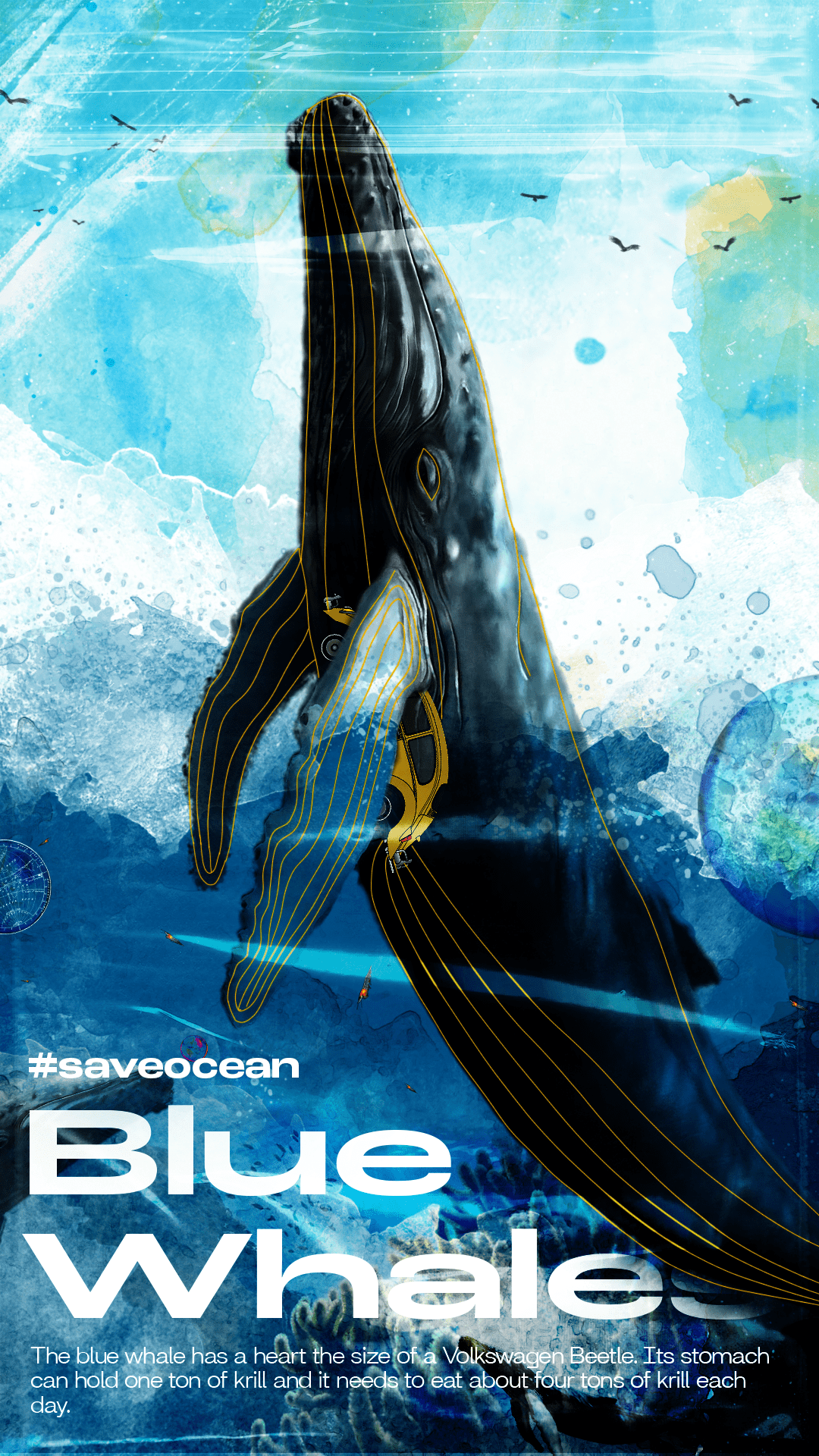 blue whale Nature poster savetheearth saveocean sea