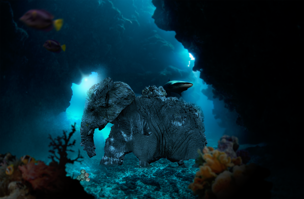 elephant sea concept creative art digital Ocean