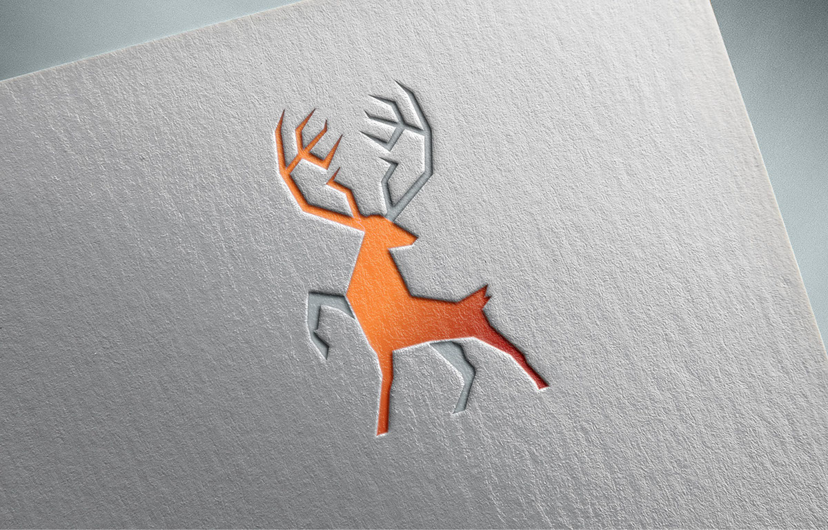 Adobe Portfolio Coco Vodka bottle deer orange Netherlands Holland mountain animal logo Typeface 3D lines grey clear clean minimal elegant crisp Packaging