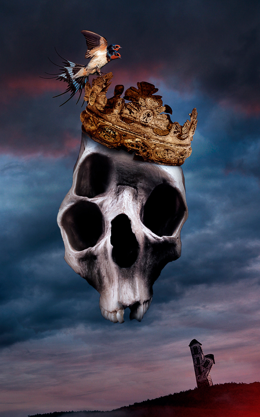 skull bird photomanipulation crown rusty