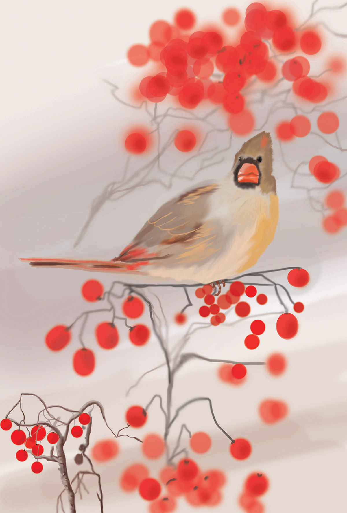 bird winter digital illustration digital painting