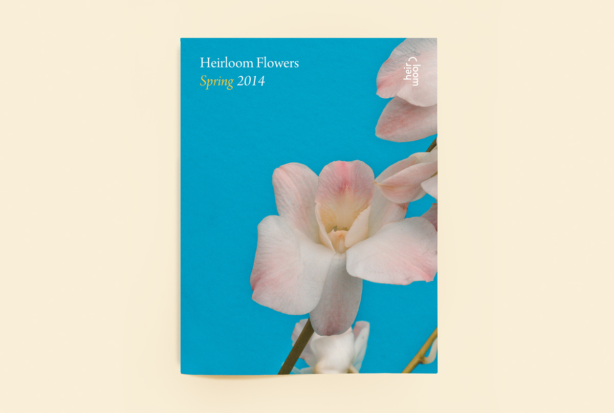 Flowers florist colour self-initiated restrained type elegant Classic magazine business card invoice Website mobile letterhead vibrant