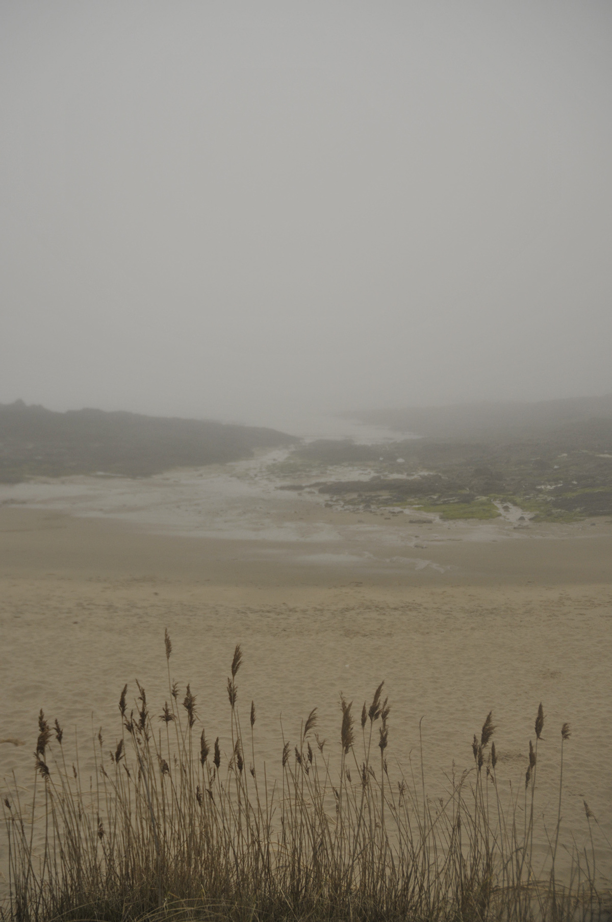 fog beach bretagne