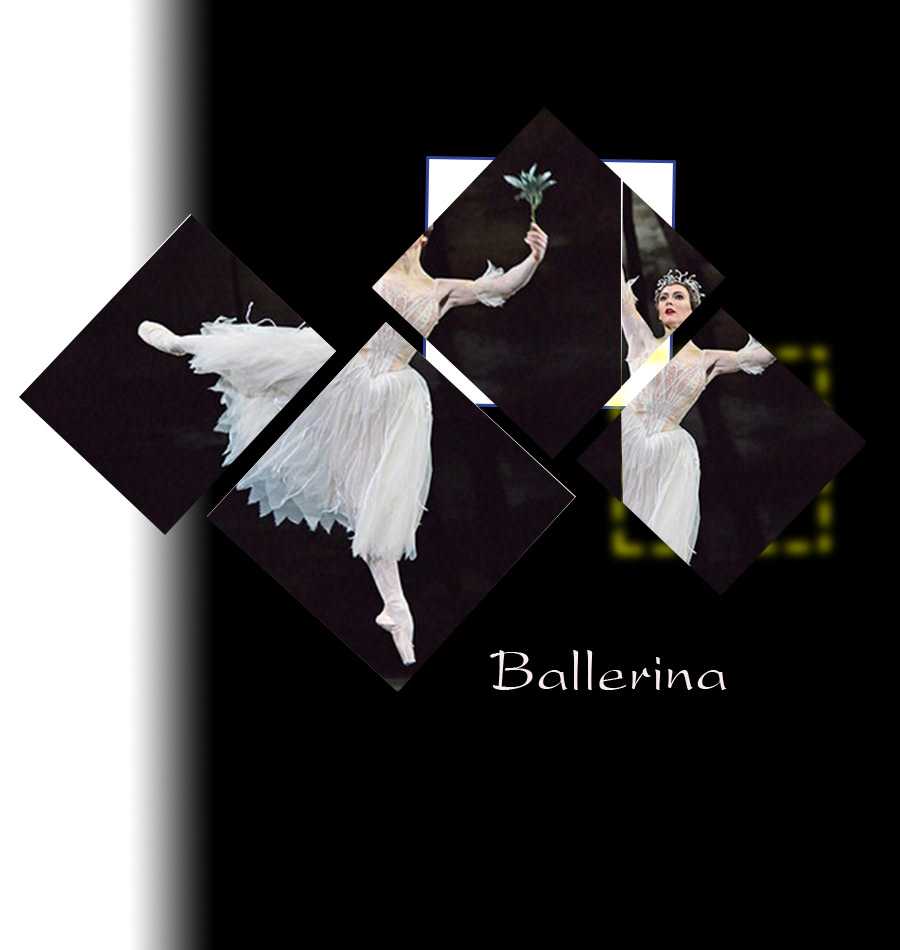 ballerina ballet beauty black and white DANCE   elegant existence gentleman Lady life
