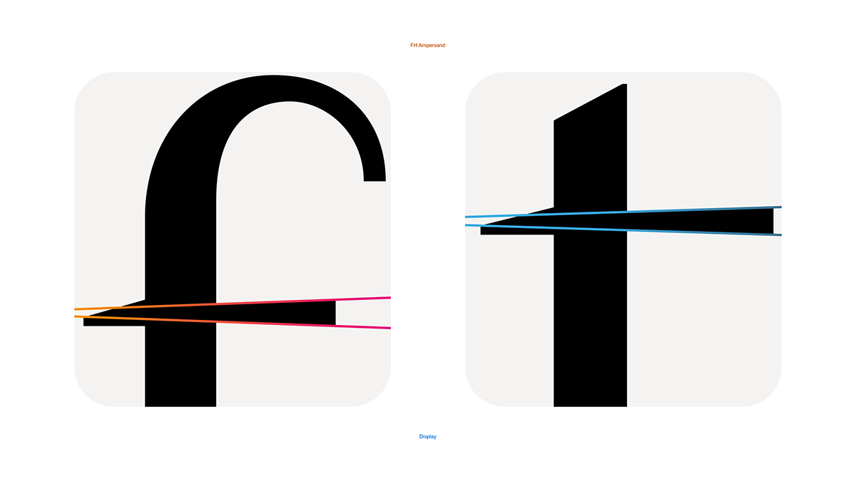 type design font branding  logo typography   art Typeface graphic design  glyphs