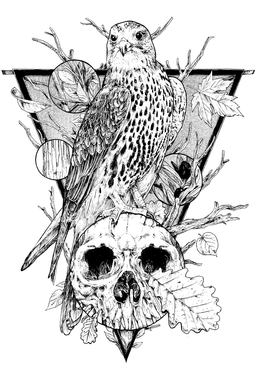 animals too many skulls t-shirts T-Shirt designs drawings skulls hand drawn