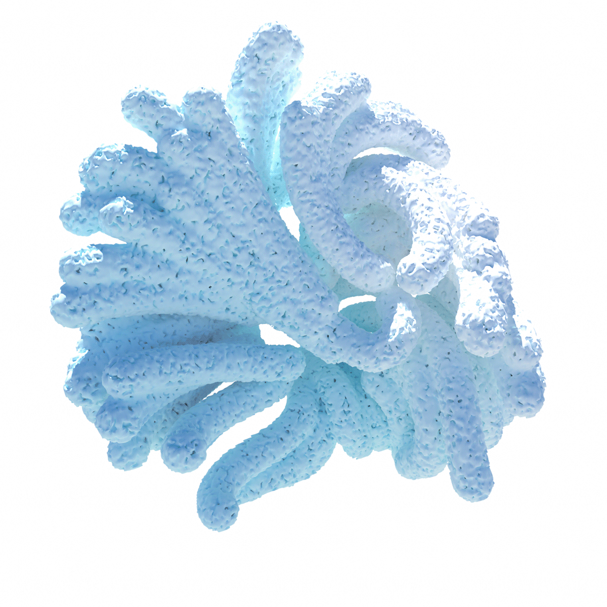 3D 3d modeling abstract coral experimental