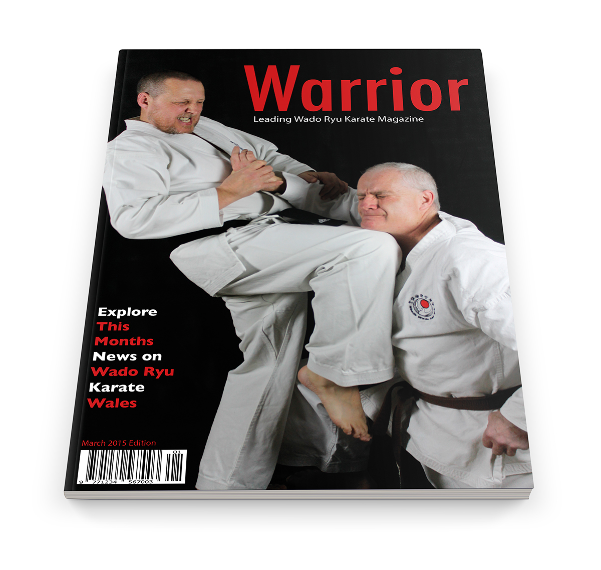 Warrior Wado Ryu Karate Magazine on Behance