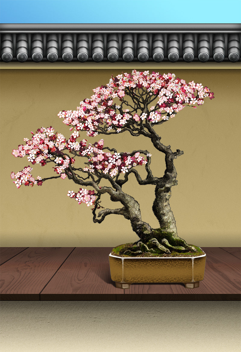 japan bonsai transcosmos zaq japanese art UI