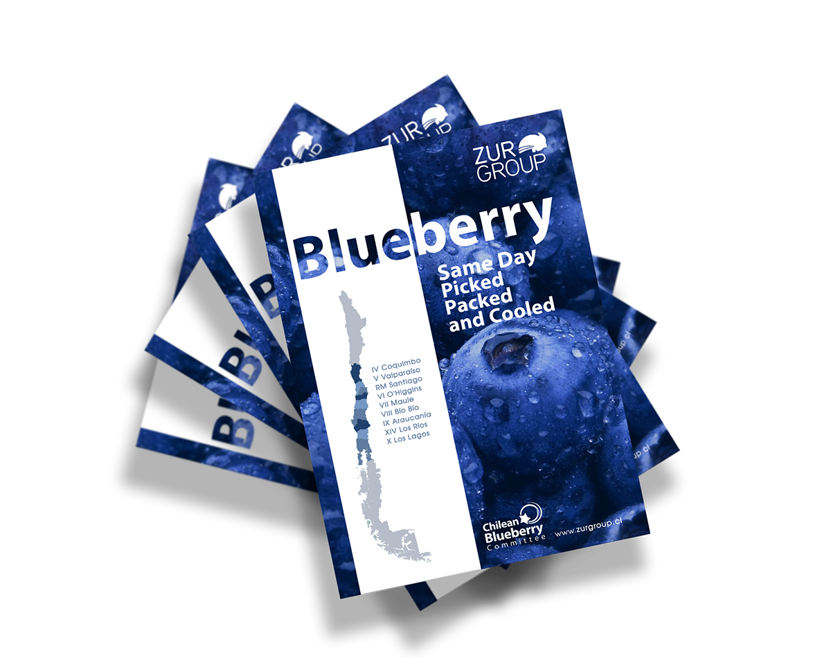 zurgroup blueberry cherry chile