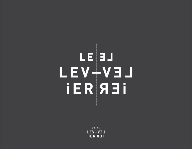 branding du Levier logo brand type black