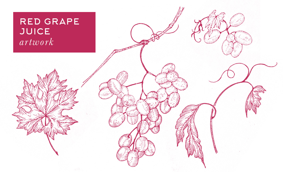 packaging design line illustration pattern design  pattern illustration Fruit Illustration grapes apple grape label design line art