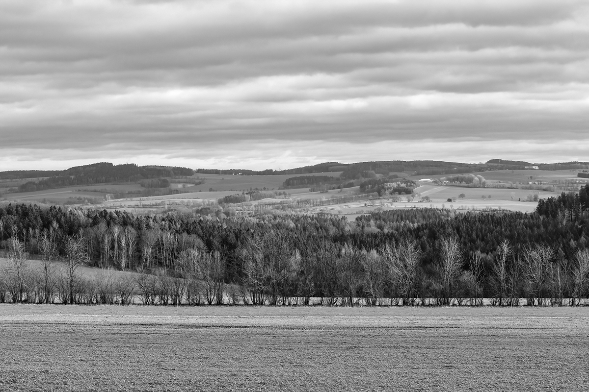 black and white trees Tree  sachsen saxony Landscape Sven Haehle Sven Hähle Orange Filter SKY