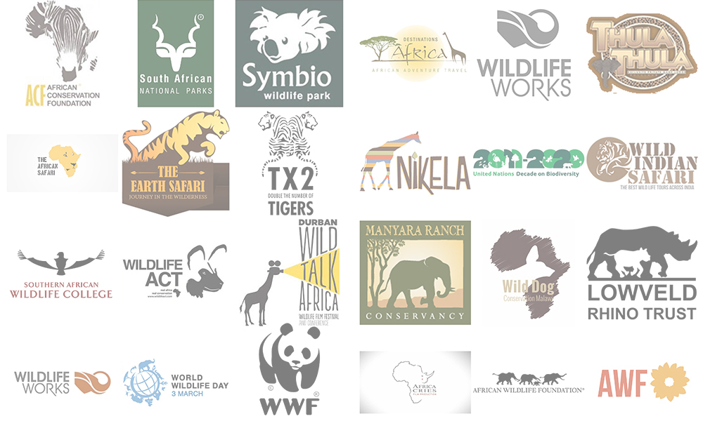 logo identity africa wildlife