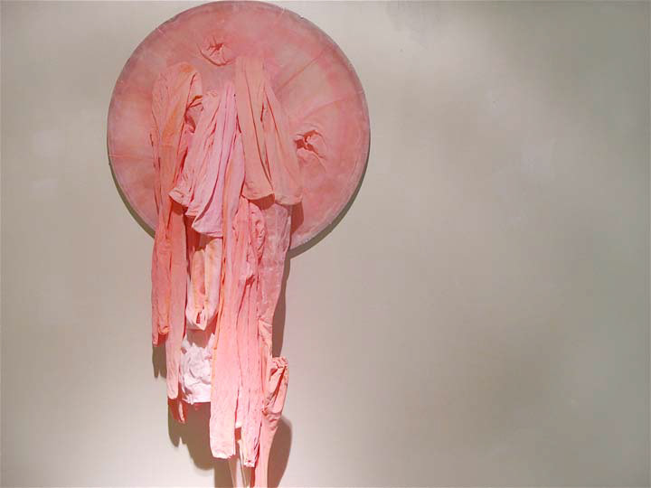 pink nylon Pantyhose