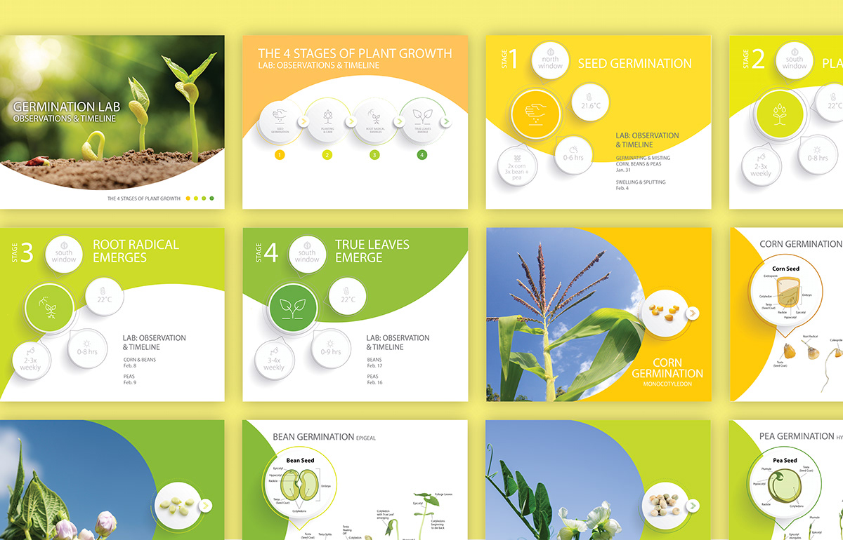 presentation template design pitch deck Google Slides Powerpoint presentation Keynote template horticulture Landscape