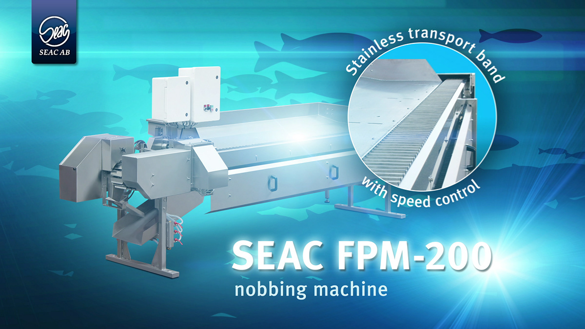 SEAC AB fishes processing machines motion video