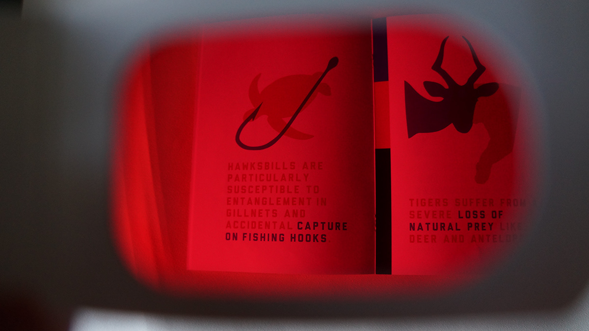 screen print book Booklet glasses red filter CMYK simple design animals extinct abstract Project font