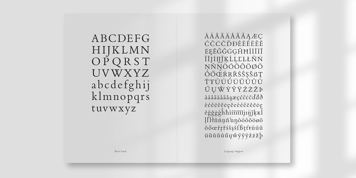 antiqua font fontdesign lettering Renaissance type Typeface typography  
