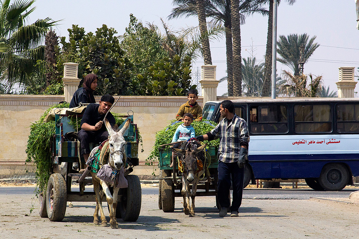 egipto egypt africa muslim temples religion boat desert nile cairo street photography Travel