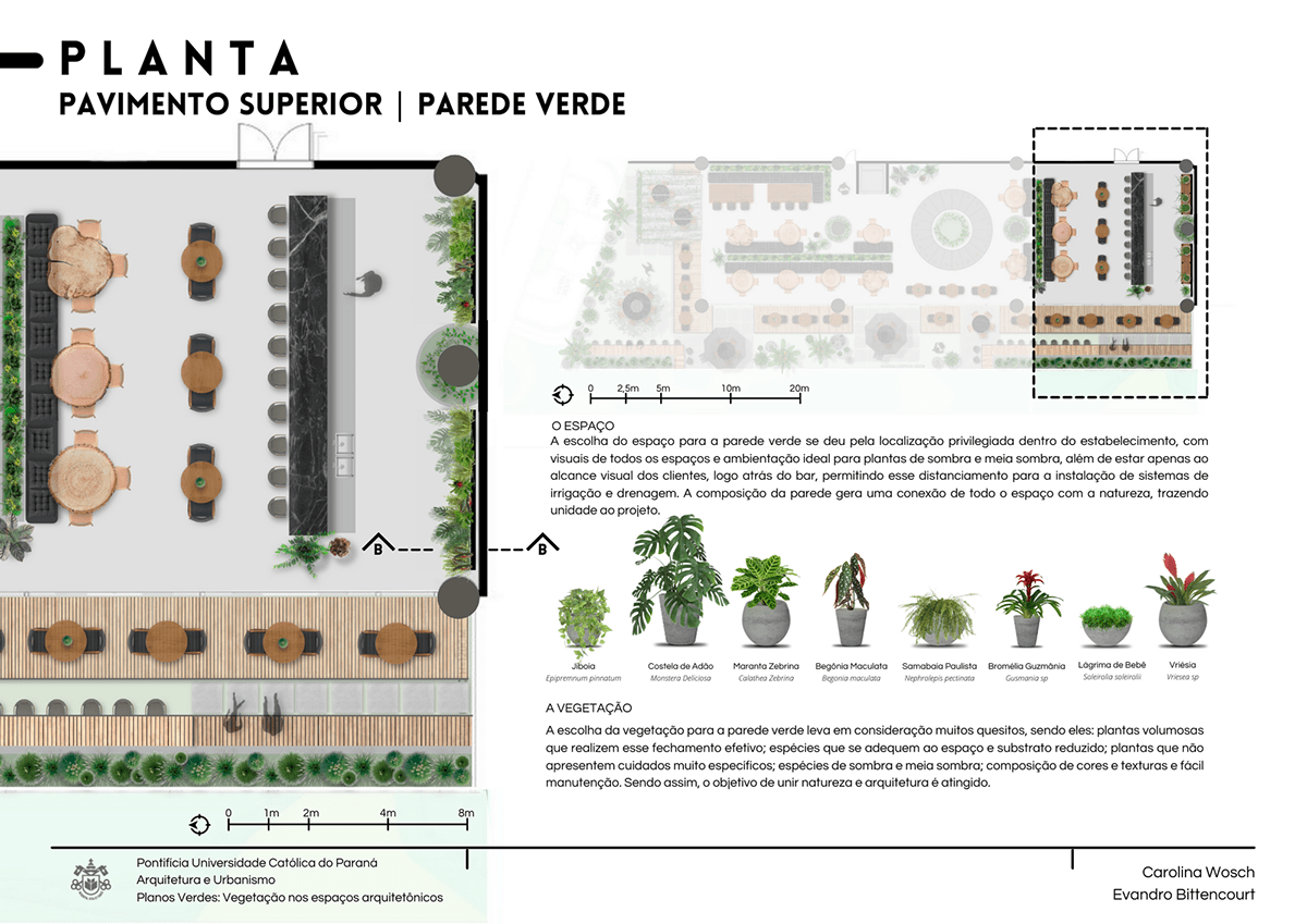 ARQUITETURA biofilia colagem Ilustração paisagismo plantas plantscaping projeto restaurante urban jungle