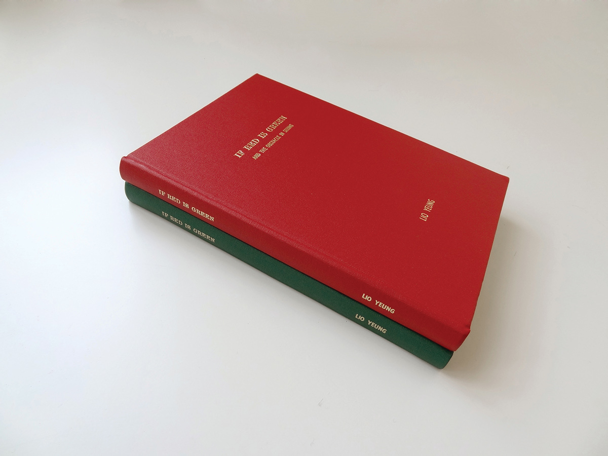 lio yeung book red graphic publishing   binding Hong Kong agnes b green portrait