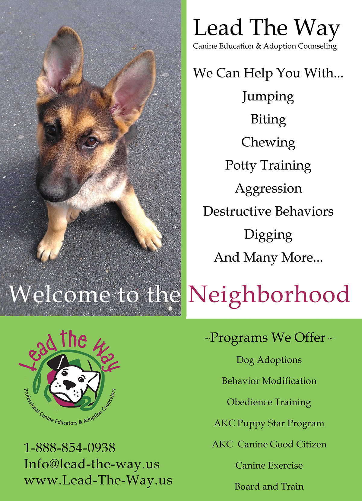 dog training soco advertisments woman