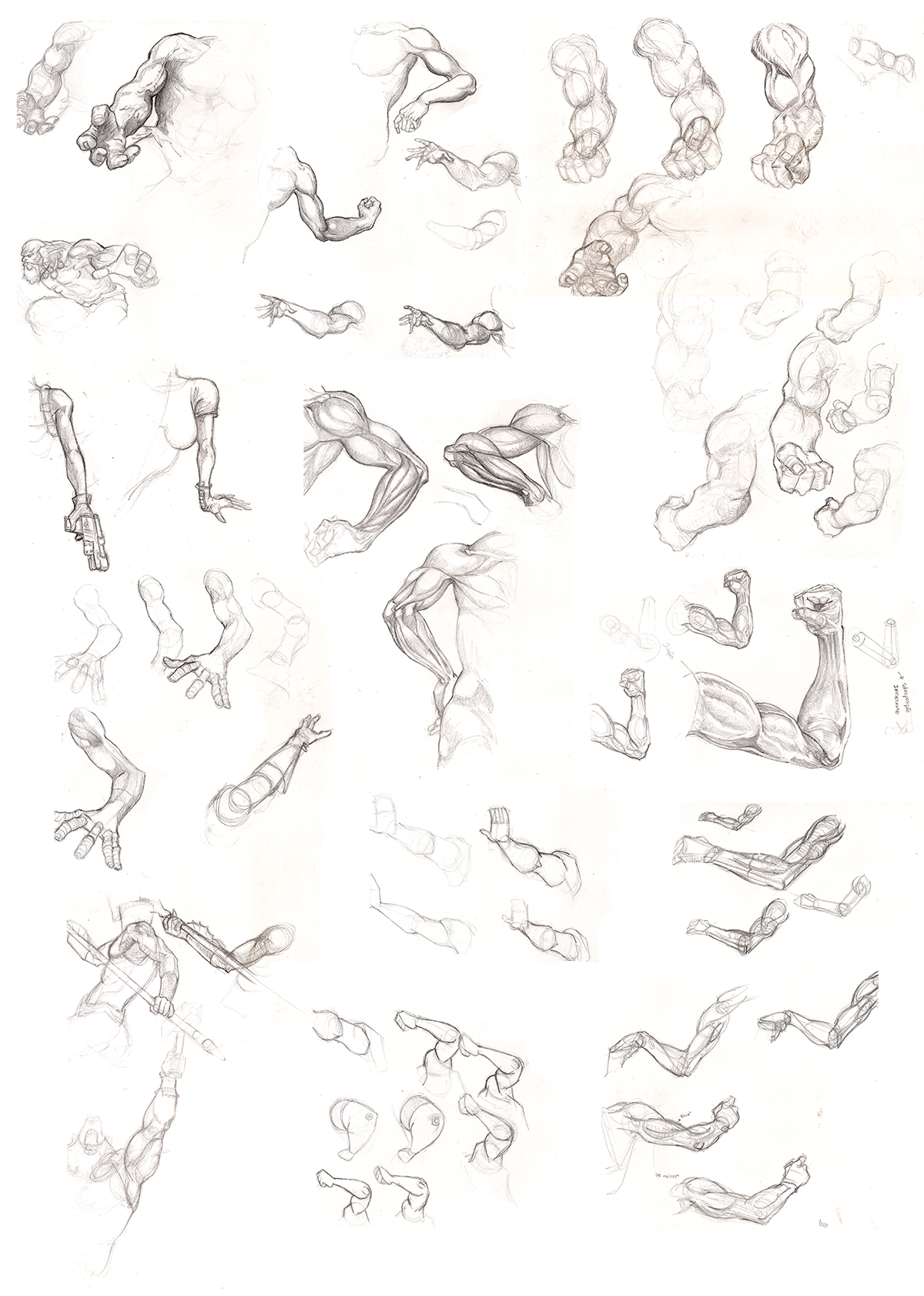 anatomy human sketch studies
