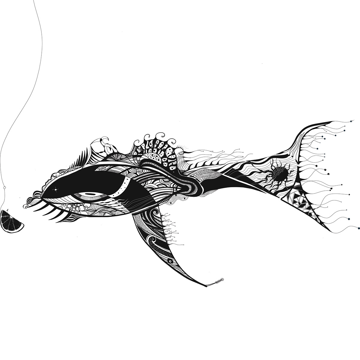 adobe draw Illustrator fish Adobe illustrator dra