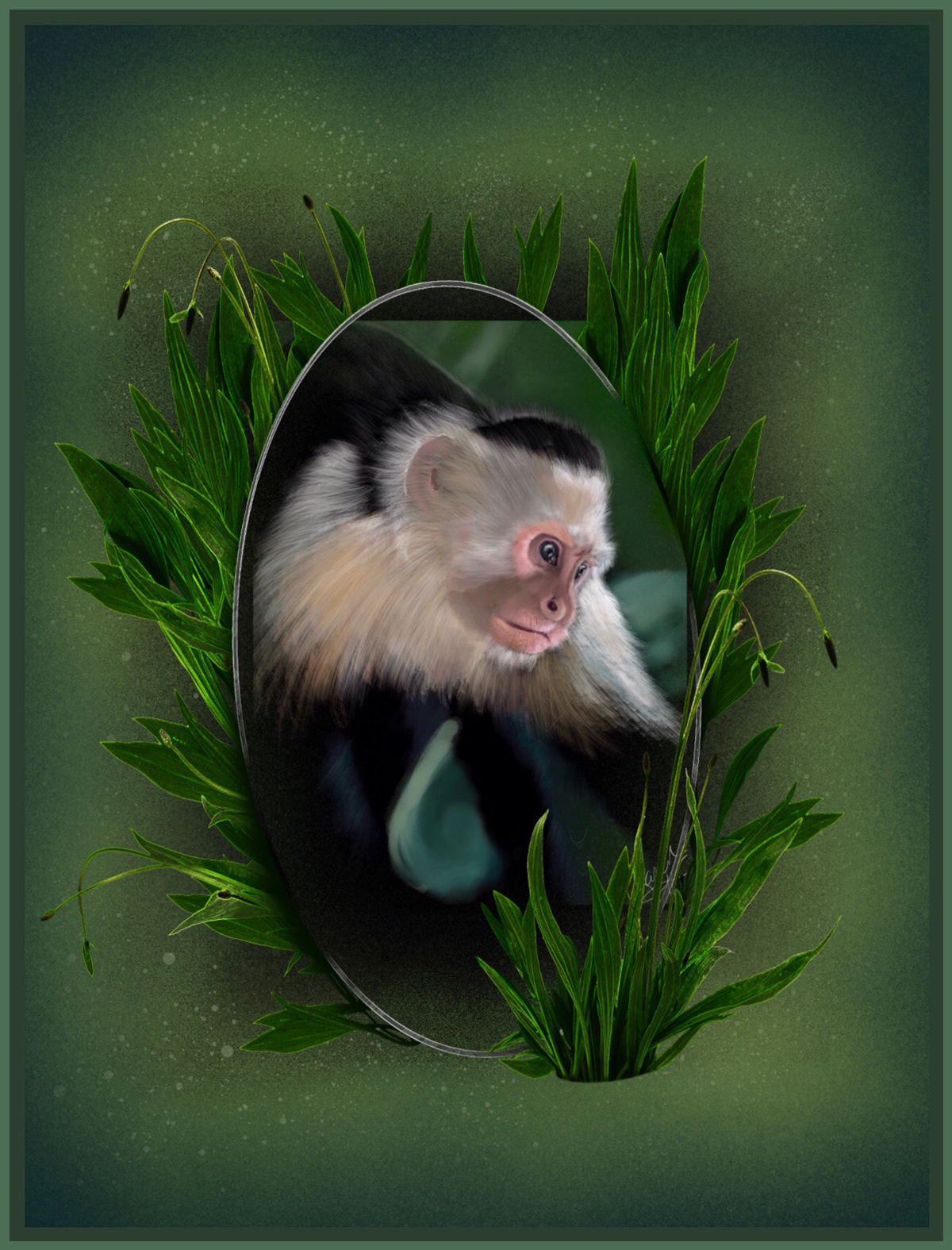 Digital Art  digital painting Drawing  illustrations animals capuchin monkey