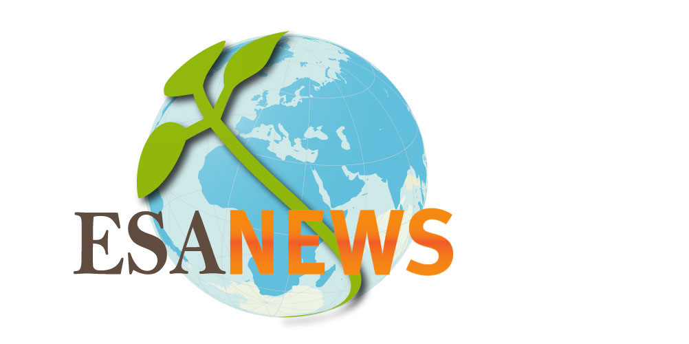 globe  news Icon logo Web