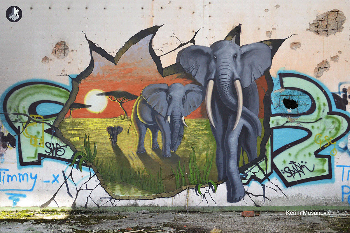 3D 3dmural african alimalportraits animalart elephants Mural streetart Urbanart wallpainting