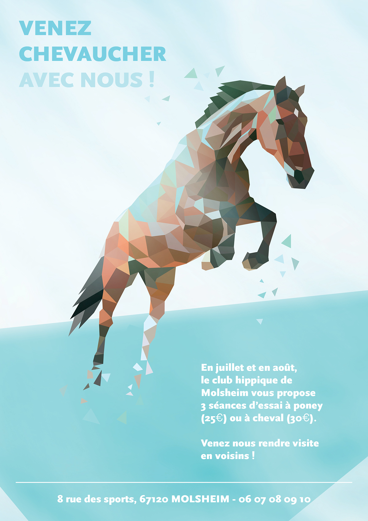 horse polygon cheval equitation triangle geometry typo poster affiche page paper papier animal riding colors