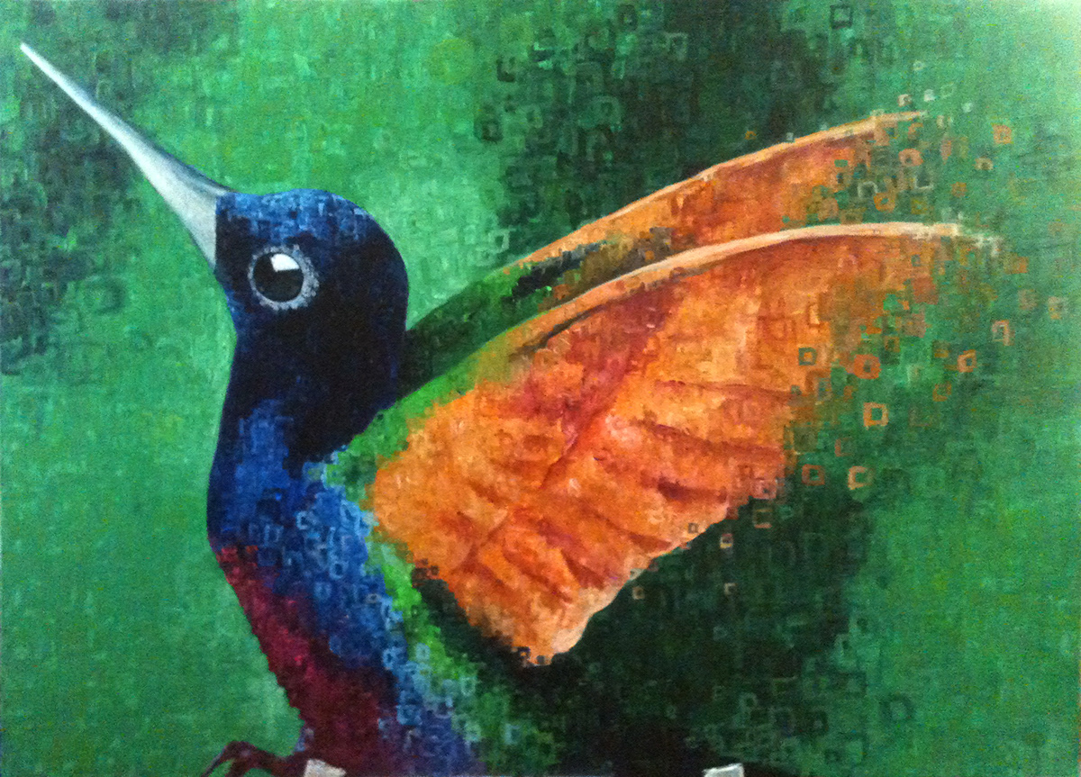 colibri color animal Fly bird Uccello colore Animale Volo art arte contemporary contemporanea new nuovo