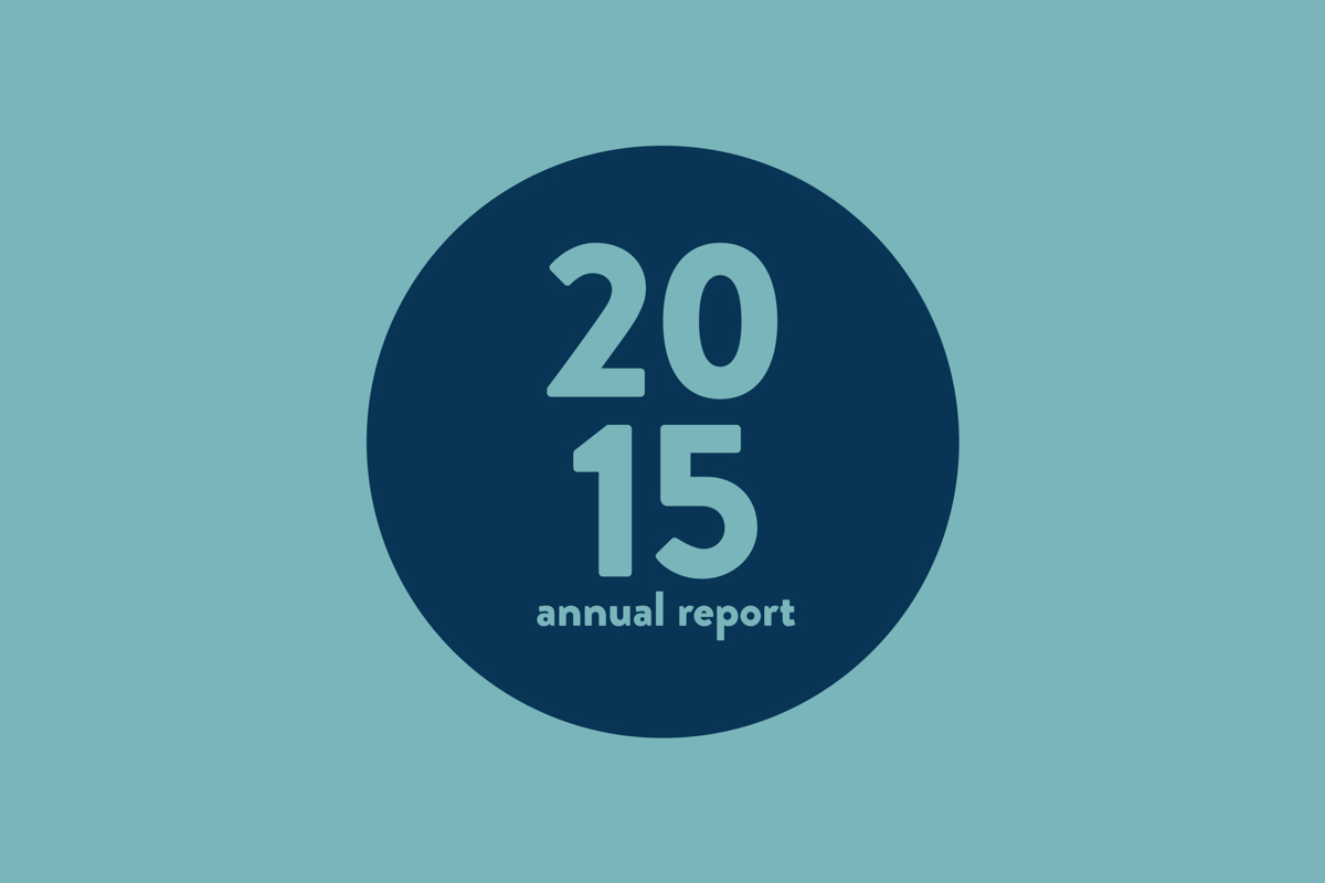 non-profit annual report