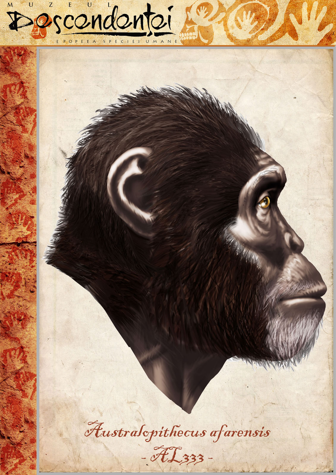 australopithecus afarensis human evolution hominid homo sahelanthropus ardipithecus neanderthal paranthropus habilis ergaster erectus antecessor floresiensis