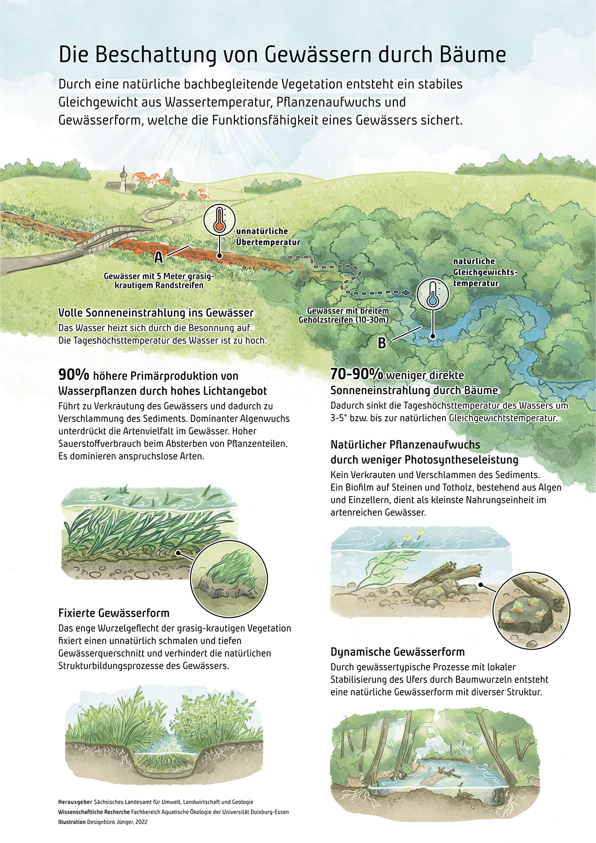 ILLUSTRATION  infographic information design Digital Art  concept river water Nature Landscape