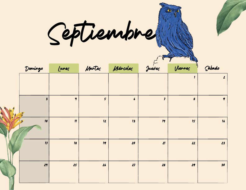 adobe illustrator art calendar design diseño gráfico ilustracion impresos photoshop pop scketch