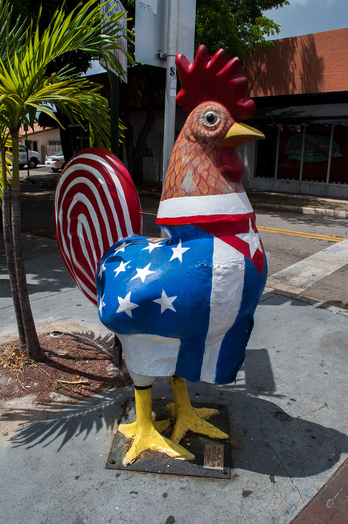 #roostersofcalleocho