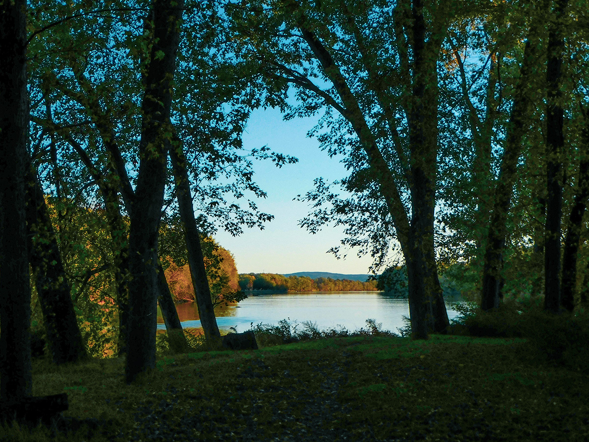 Pennsylvania Susquehanna River milton state park river trees Park Sun sunset