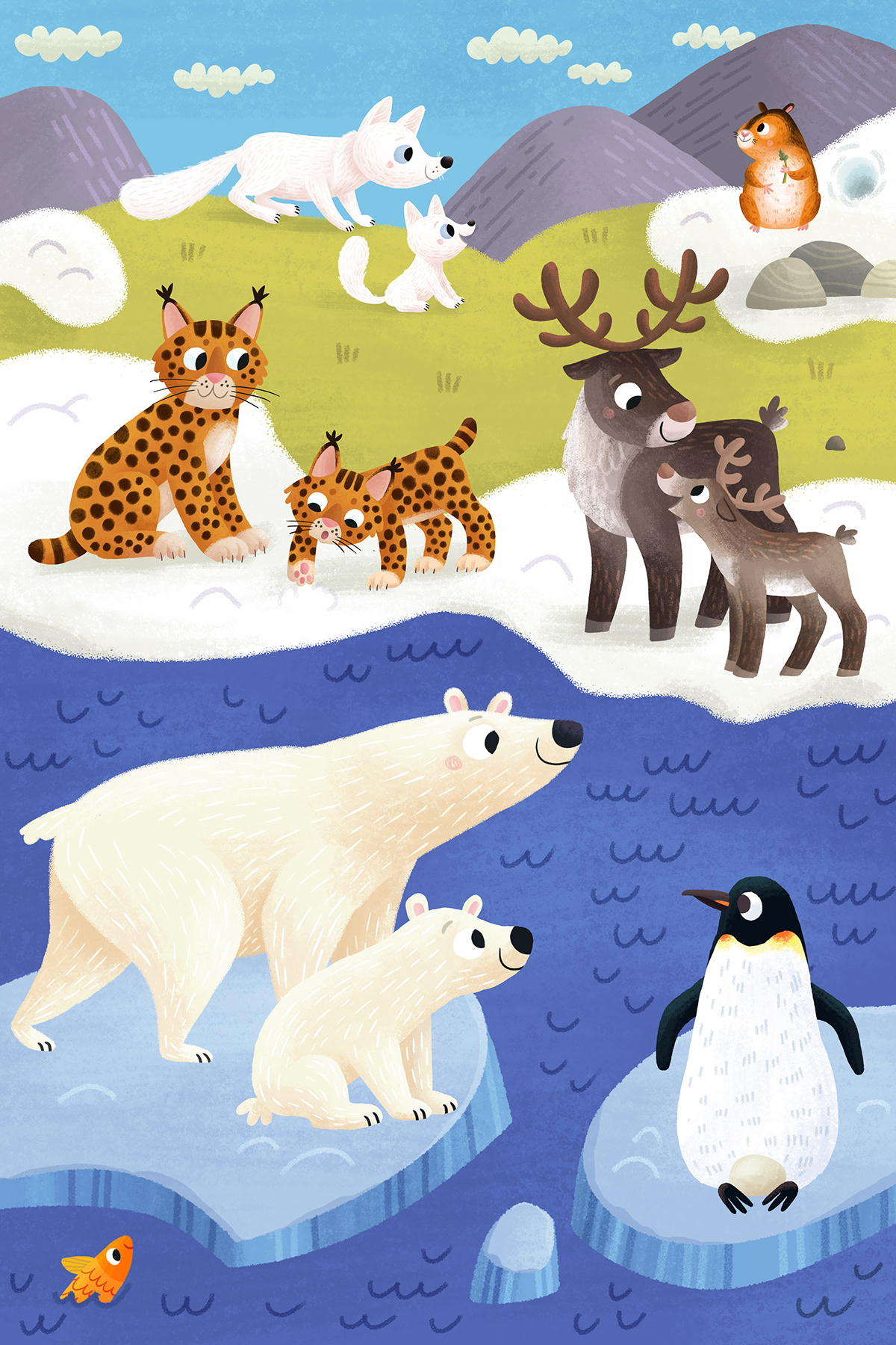 ILLUSTRATION  lift-the-flap children Board book Picture baby toddler animals north