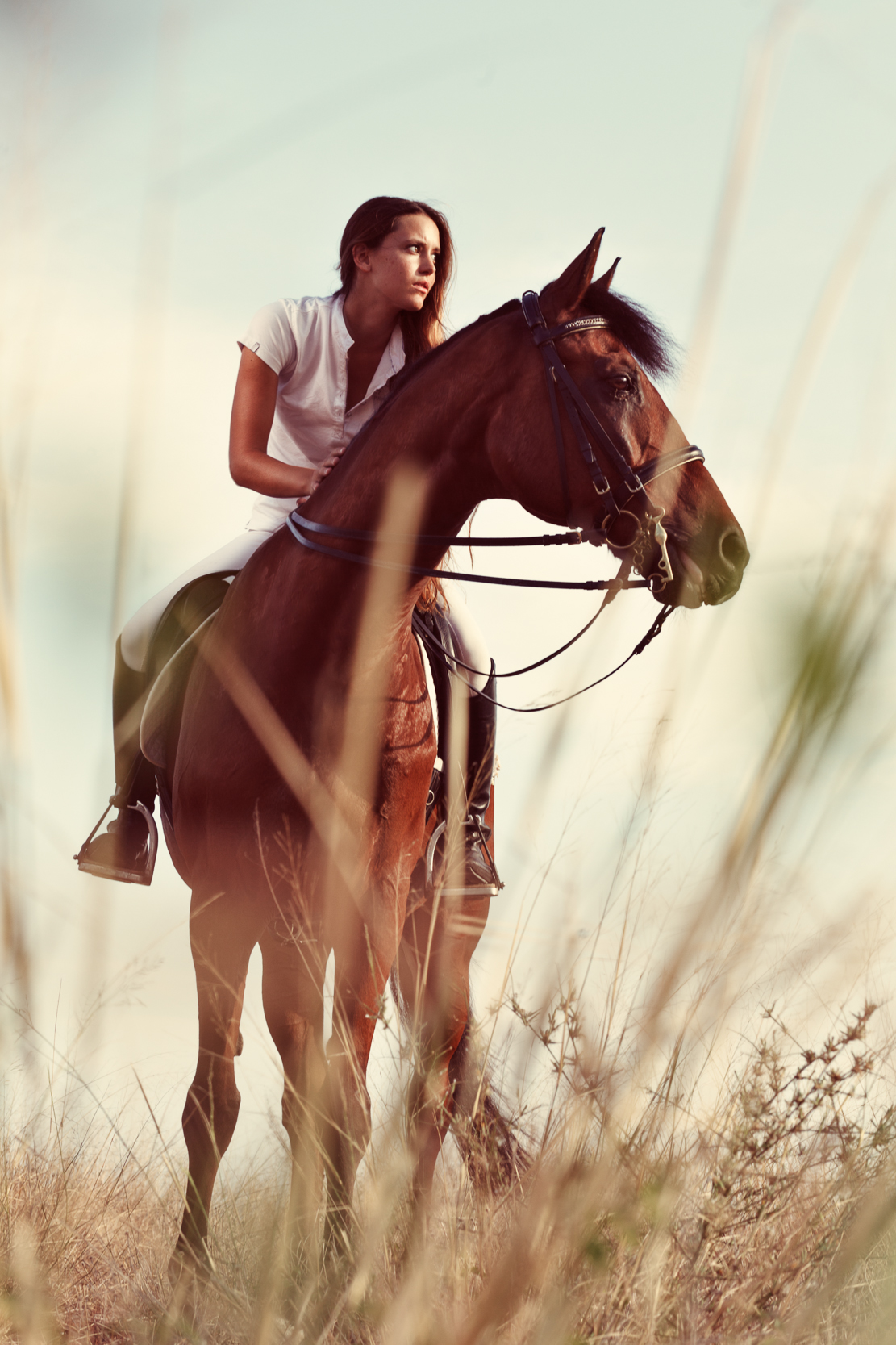 horse woman girl field SKY valencia madrid sunset caballo fotografo luis beltran publicidad editorial magazine