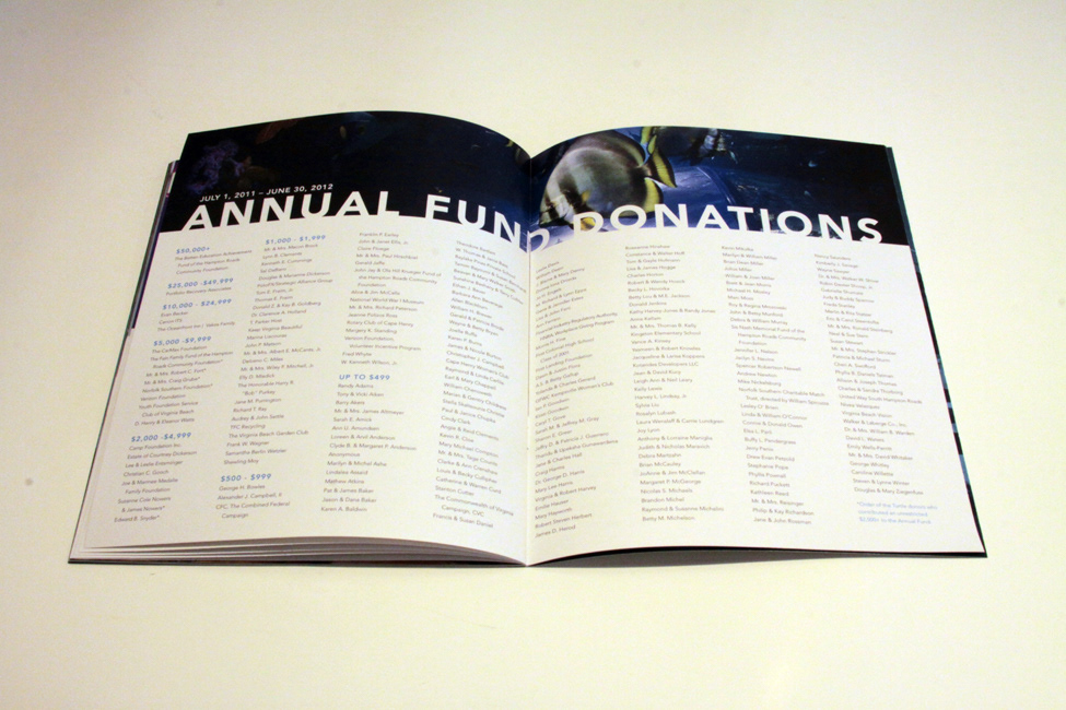 annual report  print  in-house   foil stamping silver  aquarium  Financial Report